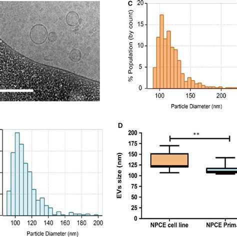 Identification And Characterization Of Evs Condition Medium From