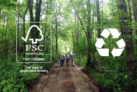 Qu Es Mejor Papel Reciclado O Con Certificado Fsc