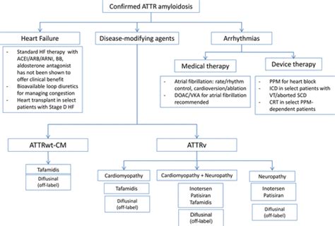 Cardiac Amyloidosis Evolving Diagnosis And Management A Scientific