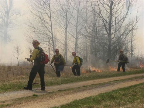 Free Picture Firefighters Working