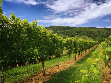 All Inclusive Charlottesville Wine Tour Routes — Charlottesville Wine