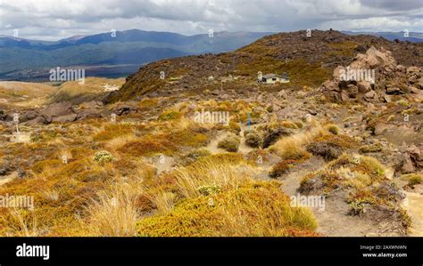 Tongariro Northern Circuit Stock Photo - Alamy