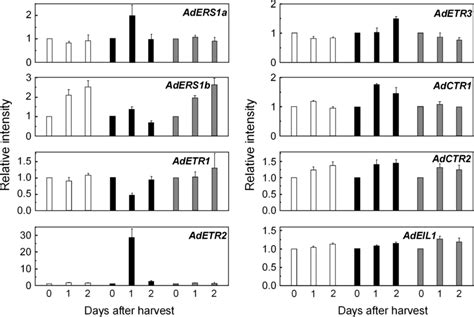 Expression Of Different Components Of The Ethylene Signalling Pathway Download Scientific