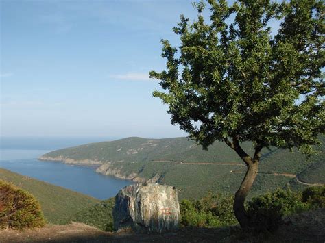 Mademohoria Halkidiki Hotels Association