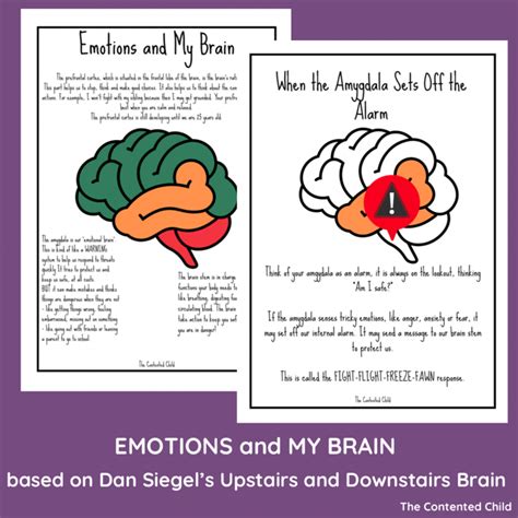 Emotions And My Brain Based On Dan Siegels Upstairs And Downstairs