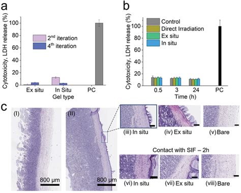 A Lactate Dehydrogenase Ldh Release Cytotoxicity Assay Of