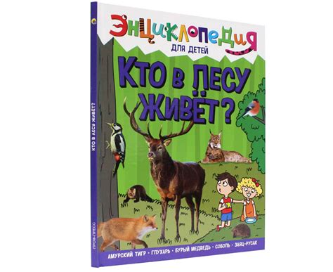 Каталог :: Детские книги :: Энциклопедии :: Энциклопедия "Кто в лесу ...