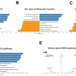 Go Annotation And Kegg Pathway Analyses By Linkedomics Using Gsea