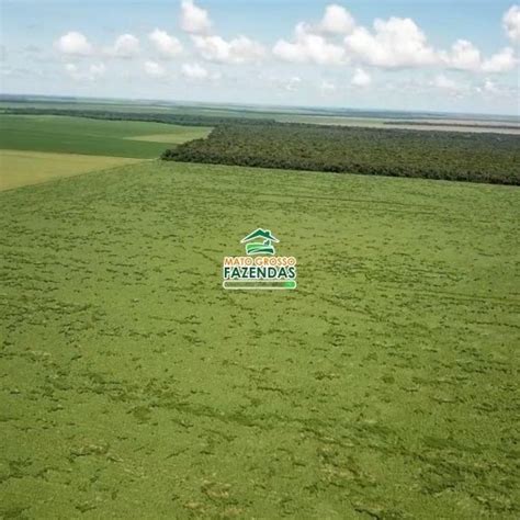 Mato Grosso Fazendas 500 Hectatares à venda no Norte do Mato Grosso