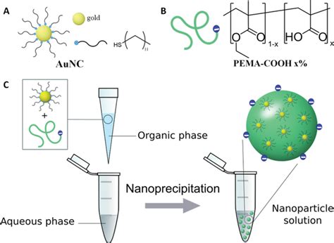 A Structure And Representation Of Gold Nanoclusters Stabilized By