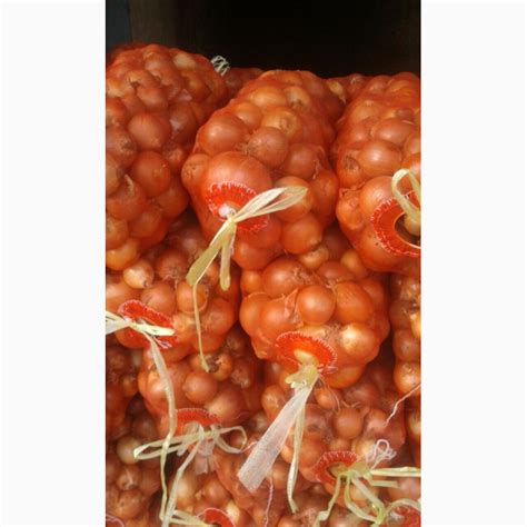 Продаётся лук сортированный для экспорта 65 тн — Agro-Uzbekistan