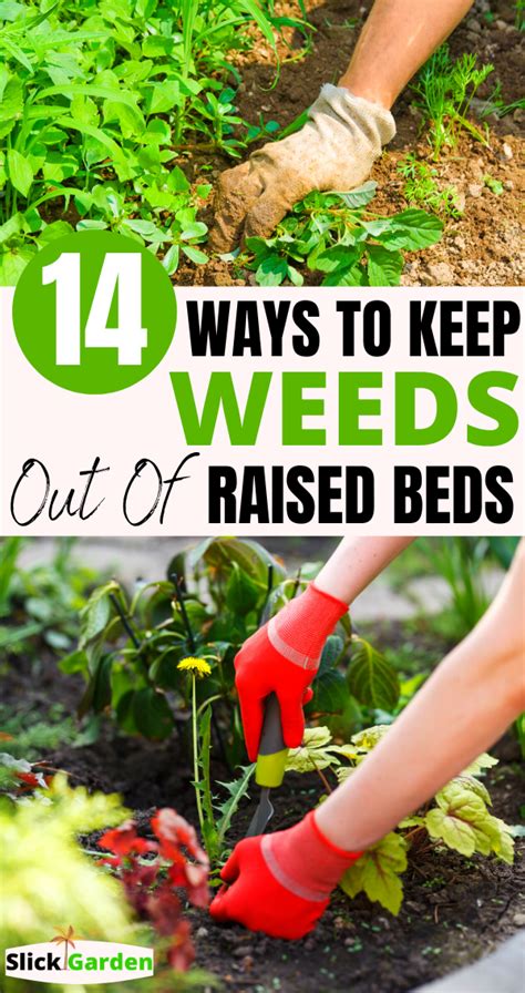 How To Keep Weeds Out Of Raised Garden Beds Extremely Easy Methods