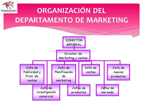 Estructura Del Departamento De Marketing Y Ventas