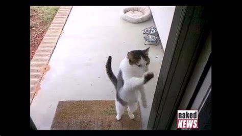 Breakdown Crying Hardcore Gangbang Search XVIDEOS