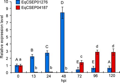 The Relative Transcript Levels Of Eqcsep And Eqcsep During