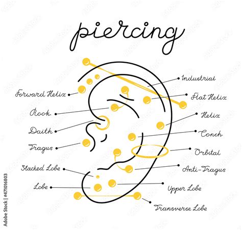 Types Of Body Piercings Chart