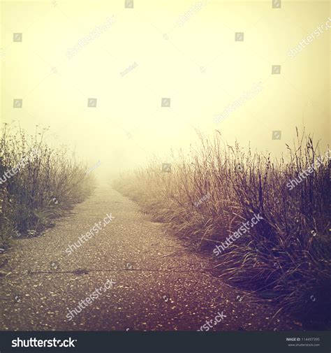 Vintage Nature Background Stock Photo 114497395 : Shutterstock