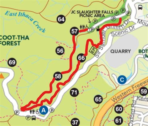 Brisbane Botanic Gardens Mt Coot Tha Map Fasci Garden