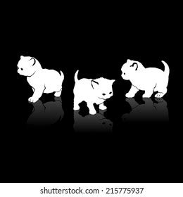 293 Female Pussy Pics Images Stock Photos Vectors Shutterstock