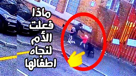 كلب مفت رس شاهد ماذا فعلت الام لإنقاذ ابنائها كاد أن يفتك بهم Youtube