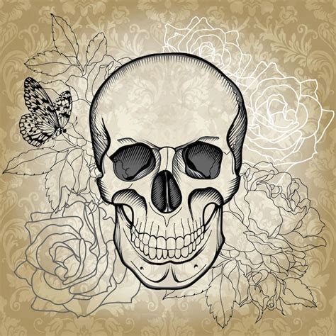 Premium Vector Human Skull Illustration Vector