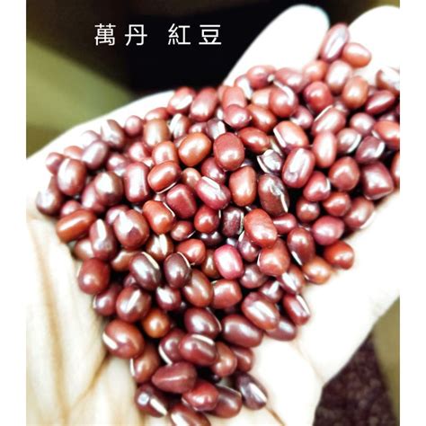 萬丹大紅豆的價格推薦 2022年7月 比價比個夠biggo