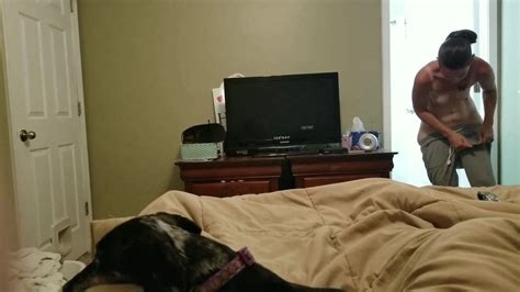 Free Dressed Porn Videos XHamster