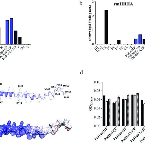 Arginine Rich C Terminal Domain Specifically Binds Cardiolipin And