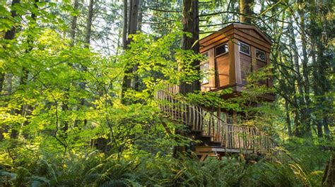 8 Super Cool Treehouses Forts And Lookouts To Explore With Kids