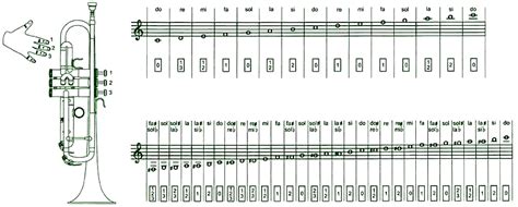 Digita O Do Trompete Escala Espa O Do Trompete Tudo O Que Voc
