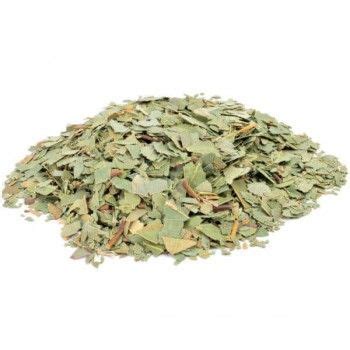 Feuille D Eucalyptus Infusion Achat Usage Et Vertus Ile Aux