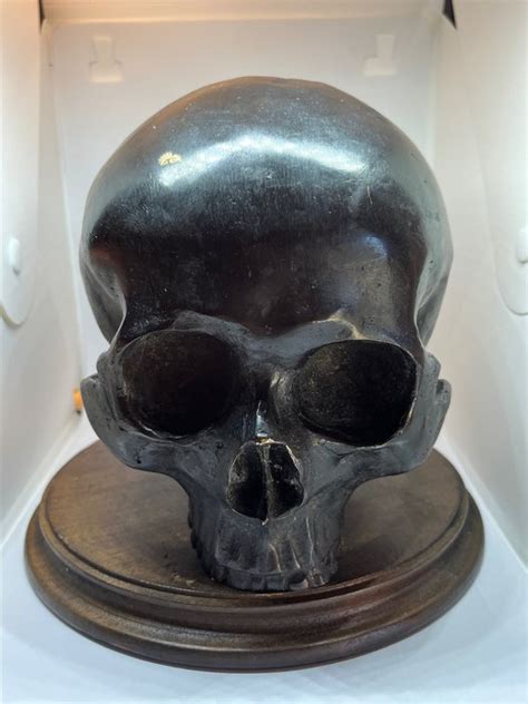 Sculpture Skull Bronze Late Th Century Catawiki