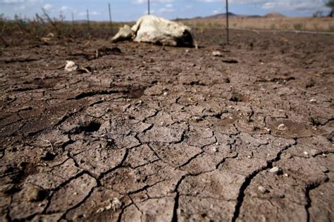 Diario Hoy Declaran Emergencia En Todo El Chaco Por Sequ A