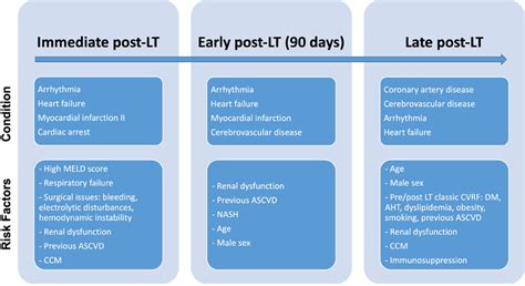 Timeline Of Post Liver Transplant Cardiovascular Events And Risk Download Scientific Diagram