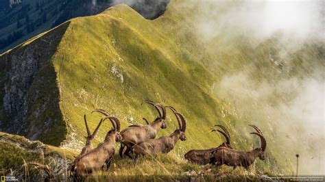 A National Geographic Escolheu As 25 Melhores Fotos Tiradas Pelo Mundo