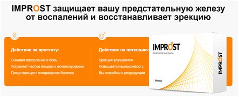 Купить ИМПРОСТ в Москве 💊 цена в аптеке - 196 руб. | Apteka-Potency.com