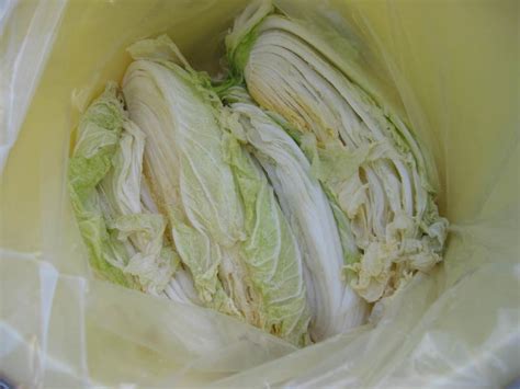 白菜の漬物 2度漬 にんにくぶろぐ 温故知新