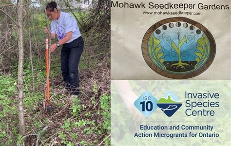 Invasive Species Centre Microgrant Feature Indigenous Food Trees Invasive Species Centre