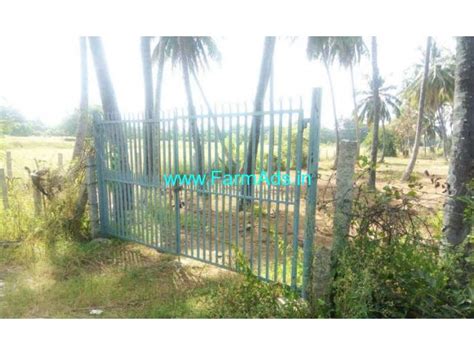 2 Acres Coconut Farm Land For Sale At Shooloagiri 60 KMS From