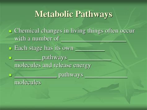 PPT - HL Topic 7.6 Enzymes PowerPoint Presentation, free download - ID:2817245