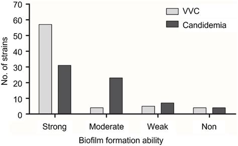 The Biofilm Formation Ability Of C Albicans Strains From Vulvovaginal