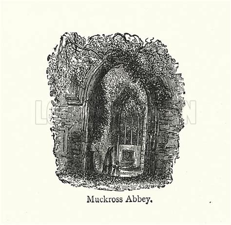 Muckross Abbey stock image | Look and Learn