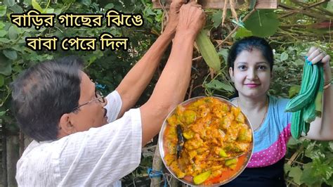 বাড়ির গাছের ঝিঙে দিয়ে নিরামিষ রেসিপি। এক থালা ভাত শুধু এটা দিয়েই