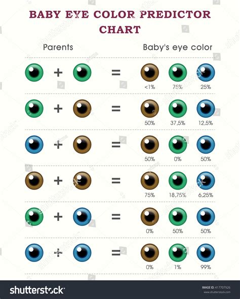 Baby Eye Color Predictor Chart Template Stock Vector 417707926