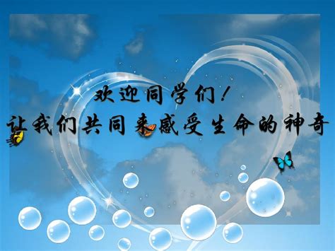 2015年新人教版八年级生物下册第七单元第一章第四节鸟的生殖和发育 课件word文档在线阅读与下载无忧文档