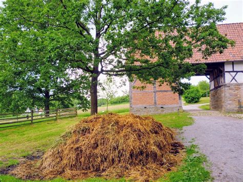 Gay Urlaub Bauernhof Schwuler Landurlaub Zwischen Tieren Traktoren Mit Tieren Traktoren