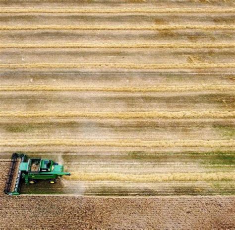 Immer weniger Arbeitskräfte in der MV Landwirtschaft WELT