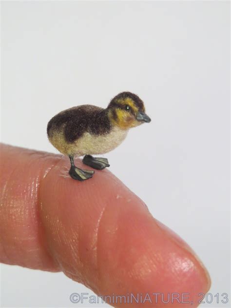 Adorable Miniature Baby Duck Miniature Craze Pinterest