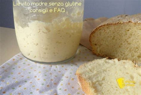 Lievito Madre Senza Glutine Consigli E Faq