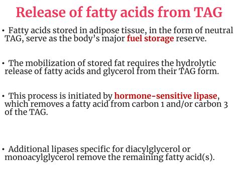 Solution Beta Oxidation Of Fatty Acids Studypool